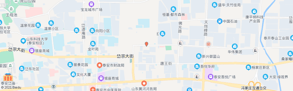 泰安凤台市场_公交站地图_泰安公交_妙搜公交查询2024